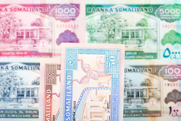 Somaliland shilling a business background