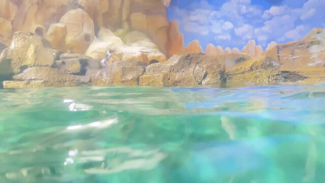 water waves in the aquarium