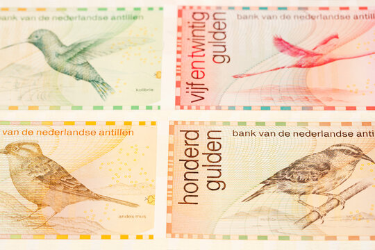 Netherlands Antillean guilder a business background