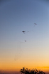 Starlings murmuration in Aiguamolls De L Emporda Nature Park, Spain