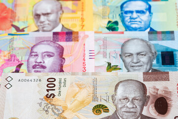 Bahamian dollar a business background