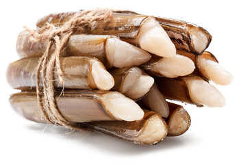 Raw razor clams isolated on white background. © Екатерина Иванова