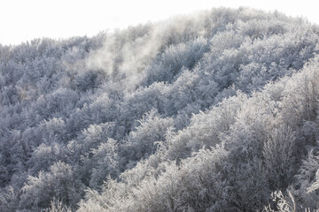 Winter snowfall in Collada De Bracons and Puigsacalm peak, La Garrotxa, Girona, Spain