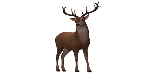 Reindeer isolated on a Transparent Background