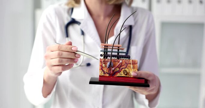 Doctor cosmetologist explains anatomy of structure of skin. Causes of premature skin aging