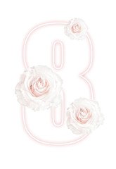 Number 8 from the ribbon greeting card design with beautiful white roses on gently pink background, International Women's day