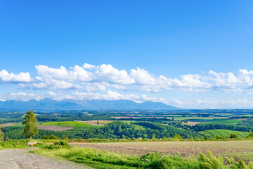Fototapeta premium 夏の北海道美瑛・富良野 広大な田園風景