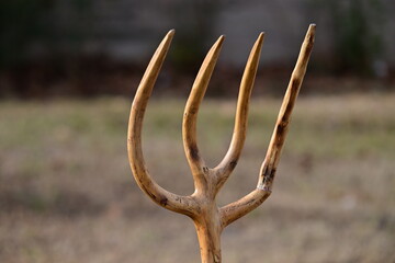 An old, wooden fork on a flea market in Spain.