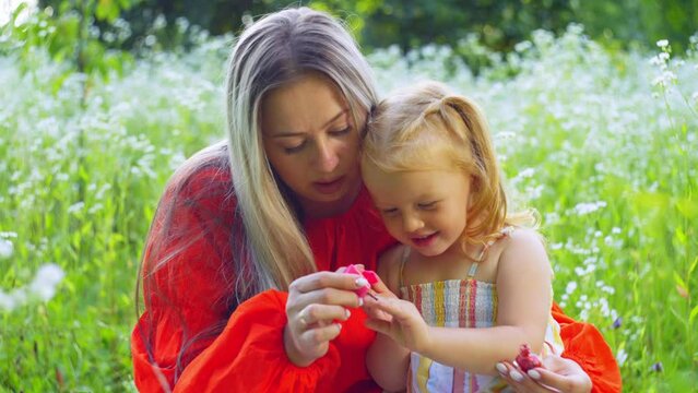 The girl is satisfied that her mother paints her nails. They are sitting on a lawn with daisies under the warm sun. High quality 4k footage