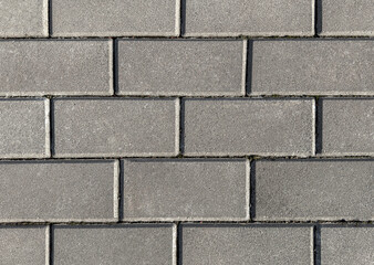 Texture of classic paving stones. There is space for text.