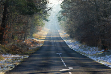 Departmental 11, forest road in Fontainebleau forest	
