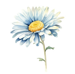 Fototapeta na wymiar Watercolor Painting of Blue and Yellow Flower