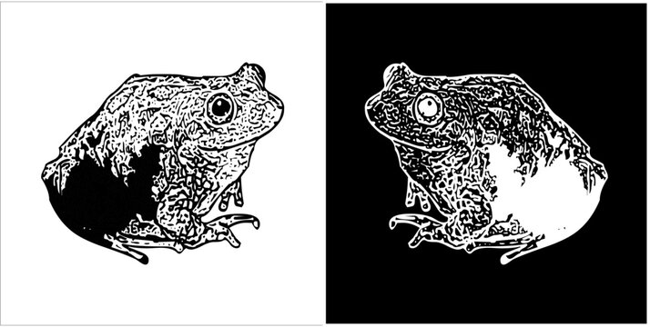Illustration vector graphics of frog icon