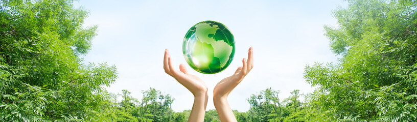 Earth Day or World Environment Day, environmentally friendly concept. Save planet, restore and protect green nature, sustainable lifestyle and climate literacy theme. Globe in hands on tree background