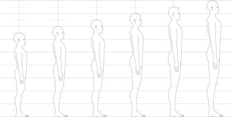 横から見た人間の身長バランス。
6.5頭身7頭身8頭身9頭身の
男性体形のイラスト