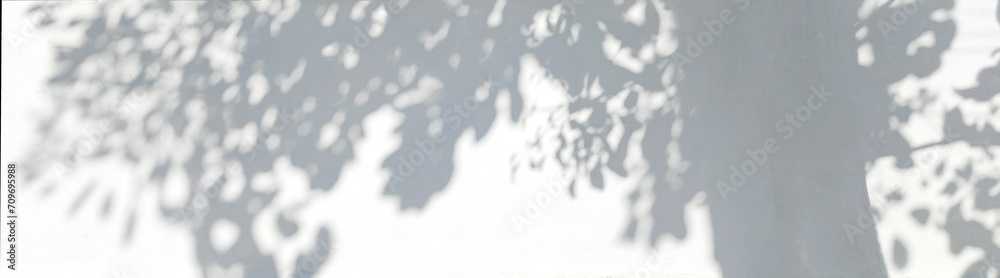 Poster Tree shadow and light of leaf branch background. Nature leaves tropical jungle tree branch dark shadows and light from sunlight on wall texture for background wallpaper design, shadow overlay effect