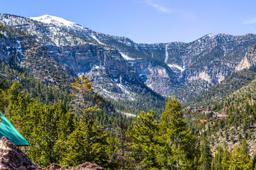 Mt. Charleston Near Las Vegas in Winter - Close-Up 4K Ultra HD Image