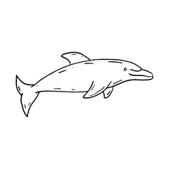Cheerful hand drawn dolphin black monochrome illustration isolated on white