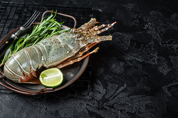 Cooking Spiny lobster or sea crayfish with herbs and spices. Black background. Top view. Copy space
