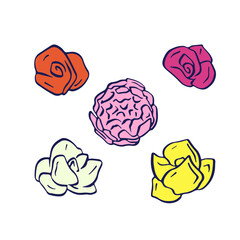 Set of rose flowers black line art isolated on white background