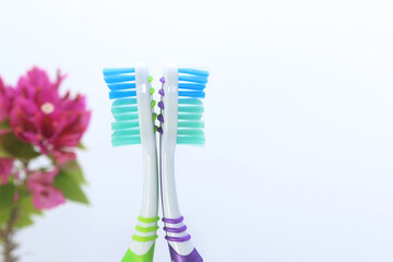 Toothbrushes in a plastic toothbrush holder