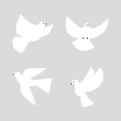 dove bird icon, Holy Spirit