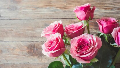 pink roses frame valentine day card illustration