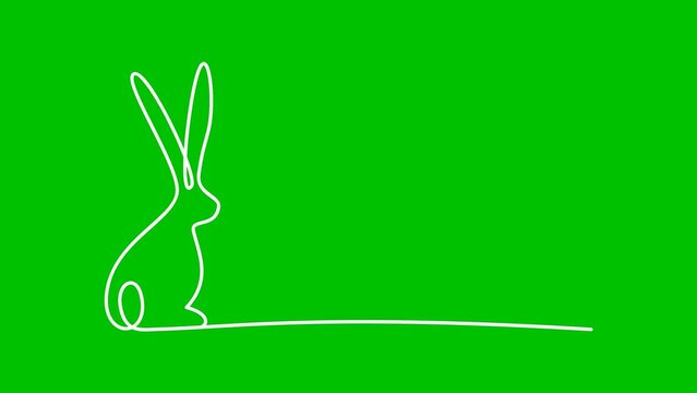 Easter bunny animation, rabitt continous one line hand drawing
