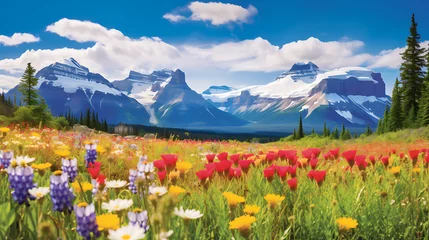 Poster  a field of vibrant wildflowers with a backdrop of snow-capped mountains, representing the diverse landscapes of Canada in a Canada Day 2024 greeting card © Love Mohammad