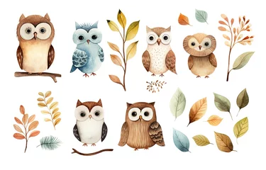 Rolgordijnen watercolor owl collection set on white background,  idea for sticker and junk journal clipart, Generative Ai © QuietWord