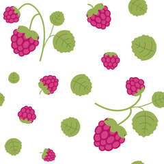 Seamless pattern with raspberries in simple cartoon style. Raspberries and leaves vector illustration on transparent background.
