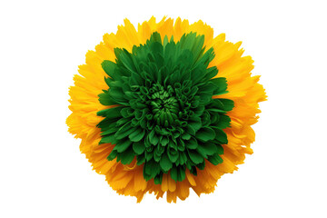 Gleaming Marigold Pine Green Floral Isolated On Transparent Background