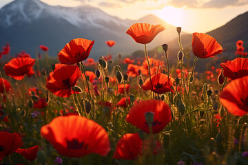 Obraz premium Poppy field in tajikistan, by abu ramez, in the style of low depth of field, sunrays shine upon it, mountainous vistas, matte background, flower and nature motifs, nature-inspired motifs, shot on 70mm
