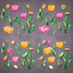 Obraz premium Tulip