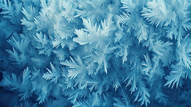 abstract blue frost background closeup photo