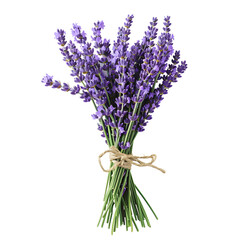 Lavender bundle isolated on white background, hyperrealism, png
