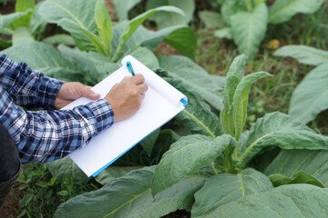 Close up famer is writing on paper notepad about growth and diseases of plants in garden. Concept,...
