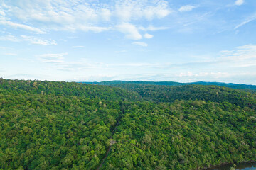 Fototapeta na wymiar Beautiful aerial view of green mangroves or tropical forest in Thailand.