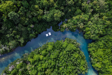 Beautiful aerial view of green mangroves or tropical forest in Thailand.