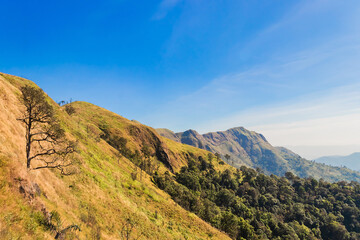 Beautiful mountain valley during sunlight at afternoon.