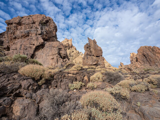 Fototapeta premium Landscape of Teide National Park