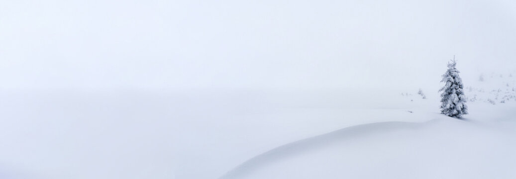 Winter image for snowy landscape winter offer banner creation with space for copy or slogan