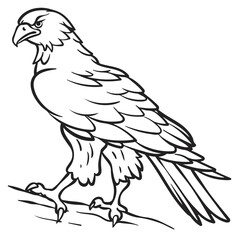 Illustration of eagle, hawk, falcon. drawing with line art on white backgrounds. Simple Design Outline Style. You can give color you like. Vector Illustrations