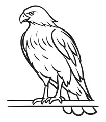 Illustration of eagle, hawk, falcon. drawing with line art on white backgrounds. Simple Design Outline Style. You can give color you like. Vector Illustrations