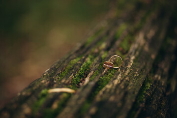 wedding ring tree nature background