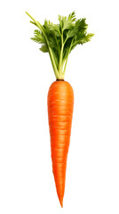 Single carrot without leafs. Isolated on transparent background. PNG