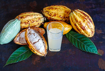 Fresh cacao water in glass and half sliced ripe yellow cacao pod with white cocoa seed, Cacao juice...