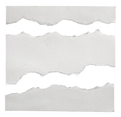 Torn watercolor paper with jagged edge