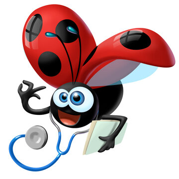 Coccinella dottore