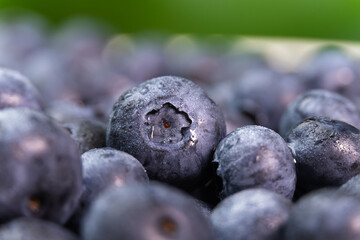 Ripe blueberries with drops, macro photography. Background blueberry texture